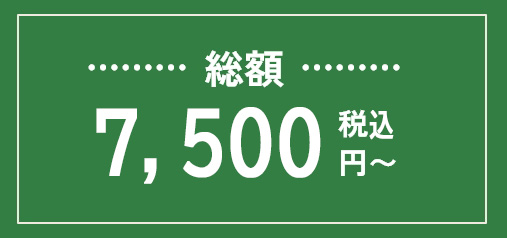 総額8,000円（税抜）～