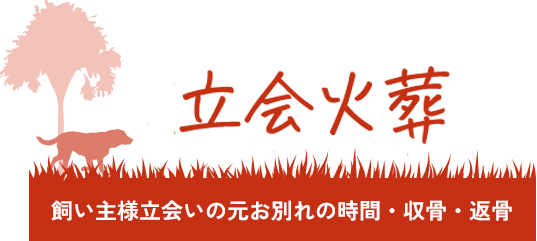 家族立会火葬（飼い主様立会いの元お別れの時間・収骨・返骨）