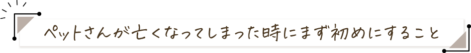 ペットさんが亡くなってしまった時にまず初めにすること